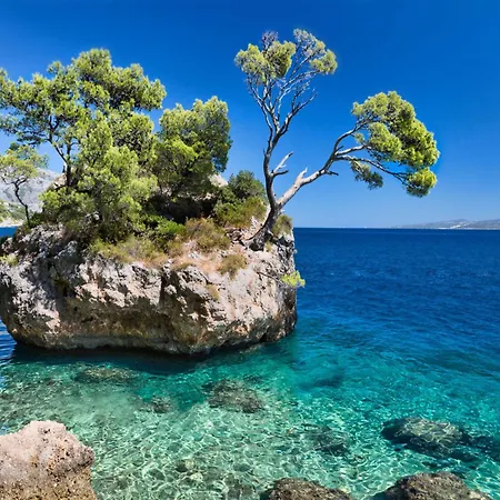 Ikovac * Baška Voda