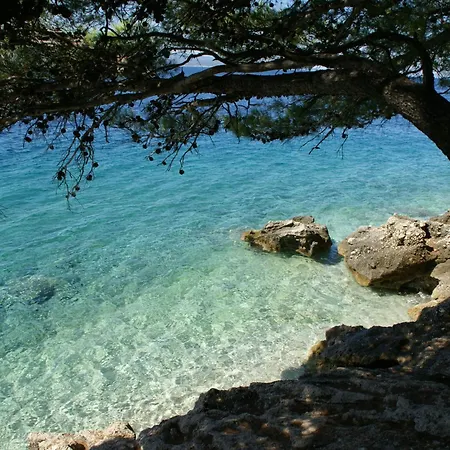 شقة Ikovac